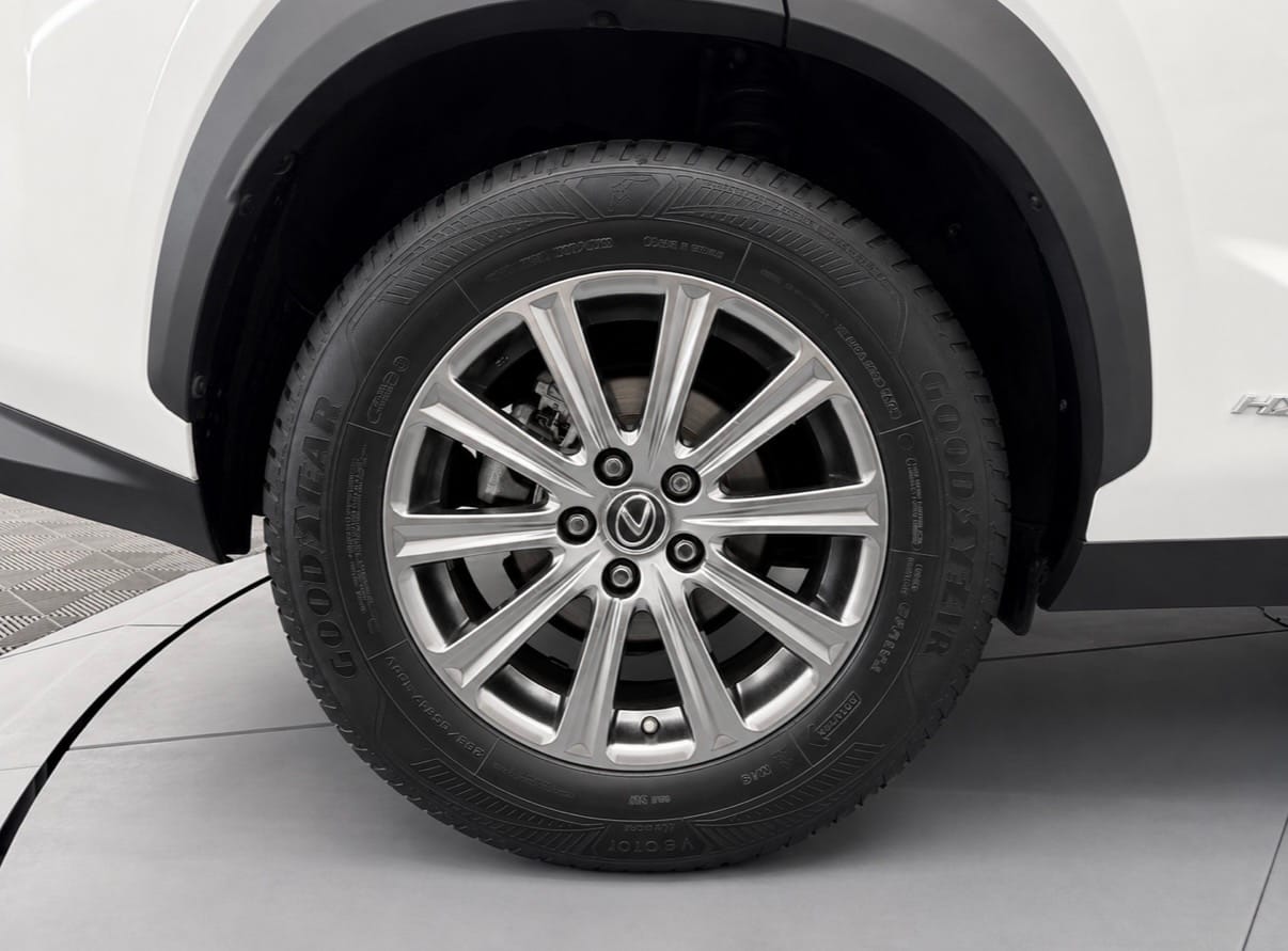 Lexus NX BUSINESS — photo 21