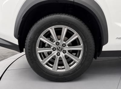 Lexus NX BUSINESS — photo 21