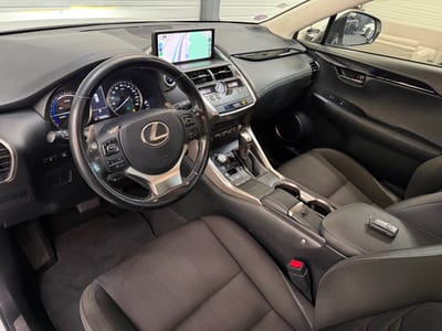 Lexus NX BUSINESS — photo 12