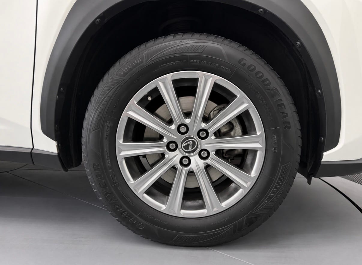 Lexus NX BUSINESS — photo 22