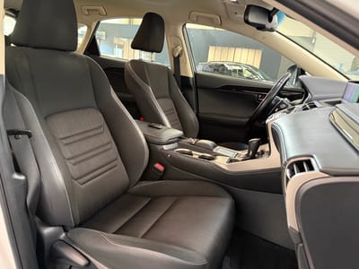 Lexus NX BUSINESS — photo 10