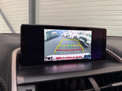 Lexus NX BUSINESS — photo 16