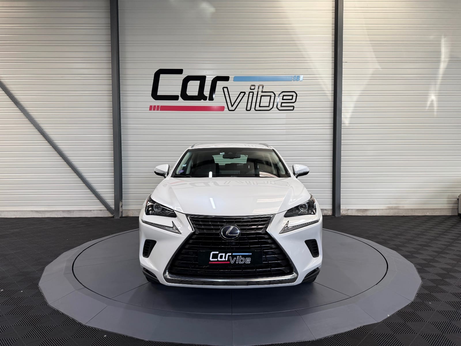 Lexus NX BUSINESS — photo 9