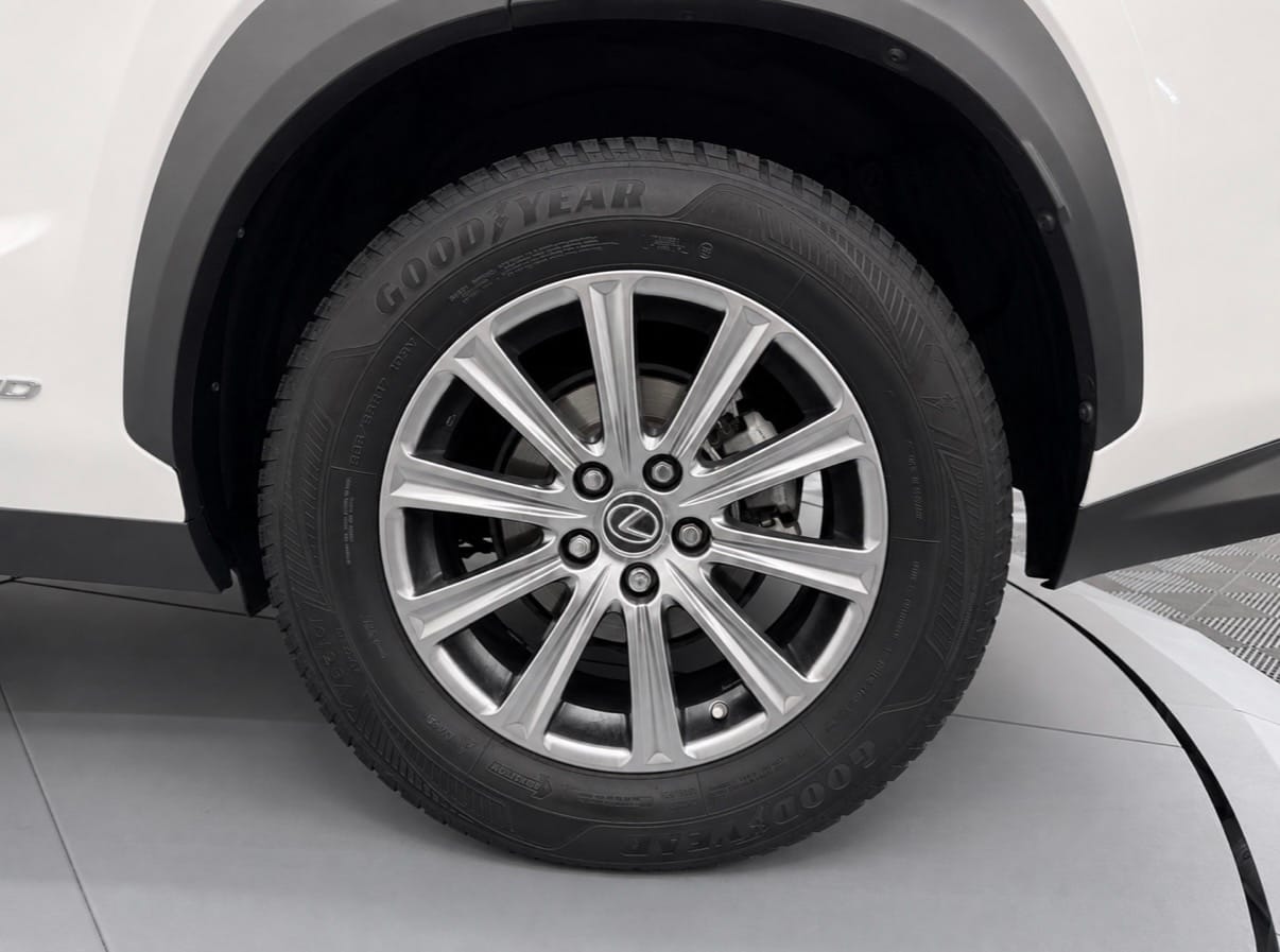 Lexus NX BUSINESS — photo 20