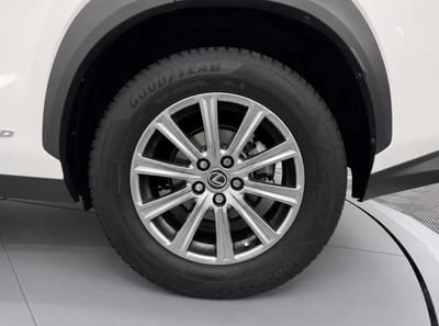 Lexus NX BUSINESS — photo 20