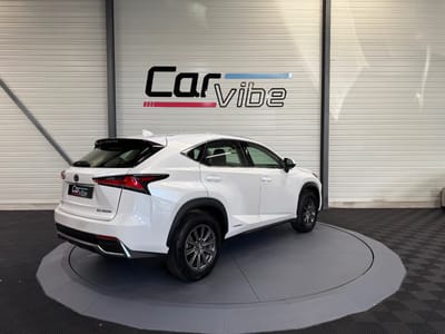 Lexus NX BUSINESS — photo 4