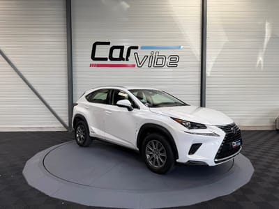 Lexus NX BUSINESS — photo 1