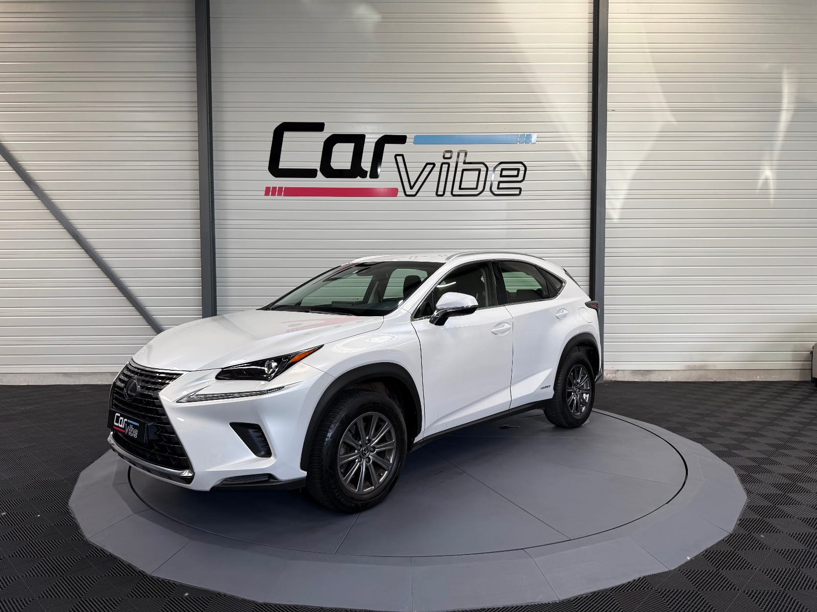 Lexus NX BUSINESS — photo 8