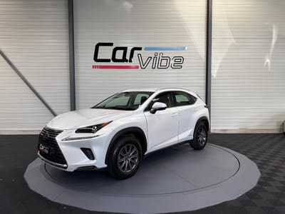 Lexus NX BUSINESS — photo 8