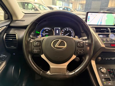 Lexus NX BUSINESS — photo 13
